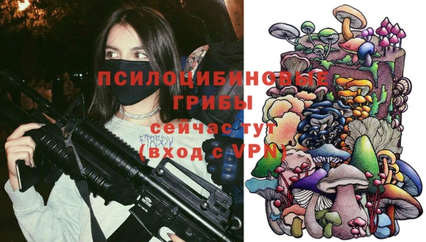герыч Алзамай