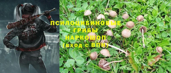 гидра Абинск