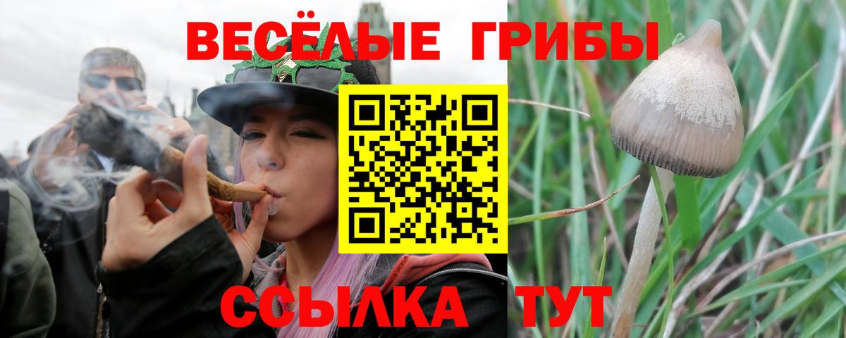 Псилоцибиновые грибы мухоморы  Псилоцибиновые грибы MAGIC MUSHROOMS  Уфа  Вход с VPN 